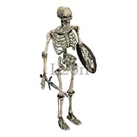 Skeleton Tracker