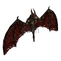 Blackwing Bat