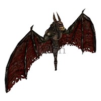 Scavenger Bat