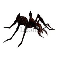 Cave Ant
