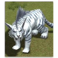Tiger King Karuta